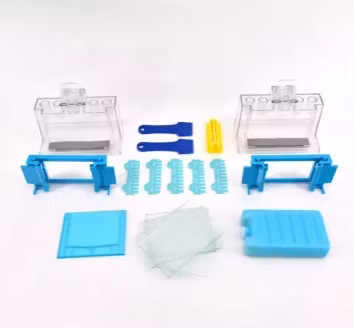 Dycz-24f Lab Biological Protein Analyzer Vertical Electrophoresis Machine