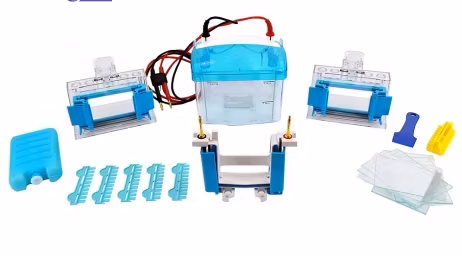 Dycz-24f Lab Biological Protein Analyzer Vertical Electrophoresis Machine